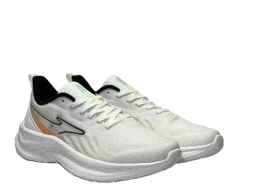 Running Shoe For Men 3001